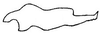 Stylus: !! display not done !! on Macrosteles lepidus (Van Duzee, 1894): Stylus. (Observation).