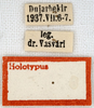CollectionObject 1477956; 1020b590-47fe-44b7-9574-bd369c87c43e: labels (holotype). (CollectionObject).