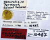 CollectionObject 1527088; cb52e0e0-0be1-424a-9374-e3b3a4b32268: labels (holotype). (CollectionObject).