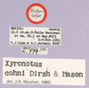 CollectionObject 1499385; 37383150-3df3-4723-99ce-9c9f76bb1abb: labels (holotype). (CollectionObject).