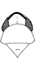 Head on Aguriahana forficata Chiang, Hsu & Knight, 1989: Head, pro-, and mesothorax. (Observation).