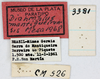 CollectionObject 1514302; 551b739d-69b5-4cee-8743-6ea4a141bf8a, MLP3381/1: labels (paratype). (CollectionObject).