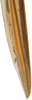 Ovipositor: !! display not done !! on Bonamus lineatus Oman, 1938: detail of first valvula, apex. (Observation).