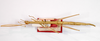 CollectionObject 1559318; 5318f452-c1cc-4d8b-ba89-4d4568f43735: copyright MNCH, Madrid. female (paralectotype). (CollectionObject).;CollectionObject 1559319; 4145f06e-6e37-4c0b-96c4-3380581d5a02: copyright MNCH, Madrid. female (paralectotype). (CollectionObject).