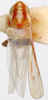 Habitus, dorsal view on Erythridula rubens (Beamer, 1930): Habitus (holotype of E. enfieldensis Hepner, INHS collection). (Observation).