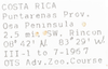 Other on Bladina mimica ramosa Kramer, 1976: (Observation).