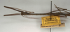 CollectionObject 1558389; NMW 929, 6cfd56f6-422d-41bf-894f-1d2306f4bd27: copyright NMW, Vienna. male: head and thorax, lateral view (holotype). (CollectionObject).