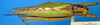 CollectionObject 1567130; 94190fb4-3df6-4b17-afd8-74e3db592abd: female, dorsal view. (CollectionObject).