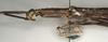CollectionObject 1560696; NMW 1051, 5debb61e-92a3-436e-a391-56afa1b19174: copyright NMW, Vienna. female: head and thorax, lateral view (syntype). (CollectionObject).