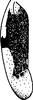 Forewing on Empoa (Empoa) scripta (McAtee, 1919): Forewing. (Observation).