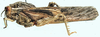 lateral view. Depicts Porthetis carinata (Linnaeus, 1758), an Otu.