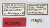 CollectionObject 1513439; MLP3640/2, da9459a8-1466-4588-8e7b-98bb2ab9436f: labels (allotype). (CollectionObject).