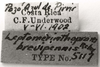 CollectionObject 1524853; df002ccf-d3c4-4277-bac8-e2d9d2e3003a: labels (holotype). (CollectionObject).