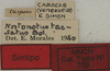 CollectionObject 1535100; 87096620-d563-4edf-bf3e-f084ab59511e: labels (syntype). (CollectionObject).