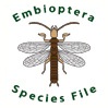 Embioptera Species File