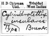 CollectionObject 1521499; 6d260bb7-999e-445c-8b30-066d98328190: Image Carbonell, C.S. labels (syntype). (CollectionObject).