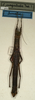 CollectionObject 1560105; NMW 985, 548c566d-9a9b-4a49-a0fb-bc489da6b5fb: copyright NMW, Vienna. female (lectotype). (CollectionObject).