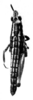 CollectionObject 1520622; 65d54b01-9da9-44f6-b9e7-9b84c2f6a6e0: Fig. 13 C. male, dorsal view (allotype). (CollectionObject).