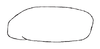 Subgenital plate: Male holotype: subgenital plate, ventral view. (Observation).