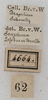 labels. Depicts CollectionObject 1552397; NMW 4664, 14d3565a-28e1-479a-b219-0722c2fe0d74, a CollectionObject.