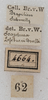 CollectionObject 1552397; NMW 4664, 14d3565a-28e1-479a-b219-0722c2fe0d74: labels. (CollectionObject).