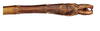 CollectionObject 1597510; 76462cc8-c9f4-47e1-84ce-5b4caf2f3d7d, QIMR T250907: copyright QM. male: end of abdomen, ventral view (holotype). (CollectionObject).