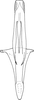 Aedeagus, ventral view on Bolanusoides yinxiong Dworakowska, 1993: Aedeagus, ventral view. (Observation).