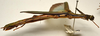 CollectionObject 1584620; 1c5db54f-39ce-41f7-9841-a49c358f4206: (CollectionObject).