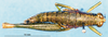 CollectionObject 1567229; 0814dfd5-2dc0-4462-8794-caf61dad1d93: female, dorsal view (paratype). (CollectionObject).