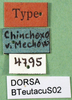 CollectionObject 1502612; 5062a036-e780-4490-8d9e-4a2cbfc2c61b, DORSA BTeutacuS02: labels (syntype). (CollectionObject).