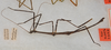 CollectionObject 1559010; b1b7af32-929c-4341-b187-0c427688e1ac: copyright USNM, Washington. (CollectionObject).;CollectionObject 1559011; 4b79db5f-56ee-41d9-945c-417a68134647: copyright USNM, Washington. (CollectionObject).