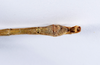 CollectionObject 1557317; f2ab634a-5114-423e-b538-a7a09412d136: copyright ANSP. male: end of abdomen, ventral view (paratype). (CollectionObject).