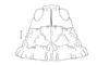 Pappacris patagonus (Saussure, 1884): Fig. 70. female head and pronotum, dorsal view. (Otu).