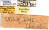 CollectionObject 1501929; 09ae79e5-5bc1-46f4-80c2-4a76431d8b14: labels. (CollectionObject).