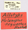 CollectionObject 1499629; 777ea62f-c1b3-4bbb-9450-e15157809e27: labels (allotype). (CollectionObject).