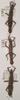 CollectionObject 1561554; 6cdbe08b-dbcd-4592-830b-23e49866e842: copyright UMO. female of synonym Acanthoderus spiniventris (syntypes). (CollectionObject).;CollectionObject 1561555; effcc6fe-eba2-4459-a612-4ec6e76c6540: copyright UMO. female of synonym Acanthoderus spiniventris (syntypes). (CollectionObject).