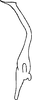 Stylus: !! display not done !! on Limassolla (Limassolla) varians (Ramakrishnan & Menon, 1972): Stylus. (Observation).