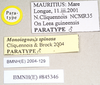 CollectionObject 1559916; 630d30de-80ea-4ee9-ad4d-d0e411c40016: copyright Natural History Museum, London. male, data labels (paratype). (CollectionObject).;CollectionObject 1559917; 8acea706-d42c-46d4-9bde-b95b67061095: copyright Natural History Museum, London. male, data labels (paratype). (CollectionObject).