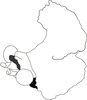 Lichenodentix dentatithorax (Piza, 1951): reproduced with permission. head and pronotum, dorso-lateral view. (Otu).