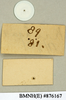 CollectionObject 1573059; NHMUK(SF IMPORT DUPLICATE) BMNH(E) 876170''', f7bf33ff-4d73-4b55-9e6a-b14c61b74bc2: Copyright Natural History Museum, London. Labels from syntype (female) in BM(NH). Underside. (CollectionObject).