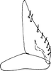Subgenital plate: !! display not done !! on Paratanus inermis Linnavuori, 1959: Subgenital plate. (Observation).