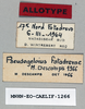 CollectionObject 1573371; 4c8ab013-ff63-47a4-8634-e0ca003cce49: labels (allotype). (CollectionObject).