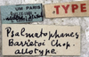CollectionObject 1541894; a90a007c-aa4d-46ba-a58e-96ddc5f43785: labels (syntype). (CollectionObject).
