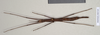 CollectionObject 1559896; 97bec5a9-7e9d-4ed0-b65e-9b1e7b174f33: copyright Natural History Museum, London. female (paratype). (CollectionObject).;CollectionObject 1559897; 64a8ed95-8ae4-4f6a-8271-6afa8f36c534: copyright Natural History Museum, London. female (paratype). (CollectionObject).