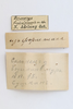 CollectionObject 1528540; 4b63fd19-2a5c-4946-8d4e-4f1382a0bc3d: labels (syntype of D. fumeipennis). (CollectionObject).