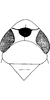 Head: !! display not done !! on Afrosus unimaculatus (Naudé, 1926): Head, pro-, and mesothorax. (Observation).