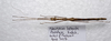 CollectionObject 1584591; a26e3753-afa6-4ef3-a92f-10bfbc05b3a6: (CollectionObject).;CollectionObject 1584592; ecb514a5-73b9-4dc8-89c5-9a95fb9e6edc: (CollectionObject).