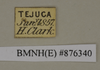 CollectionObject 1572959; a5c4a28d-3c47-4784-829e-5f47290a7fb9: Copyright Natural History Museum, London. Labels from non-type (adult female) in BM(NH). (CollectionObject).