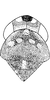 Head on Seriana frater Dworakowska, 1971: Head, pro-, and mesothorax. (Observation).