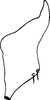 Stylus: !! display not done !! on Cofana karachiensis Ara & Ahmed, 1988: Stylus. (Observation).